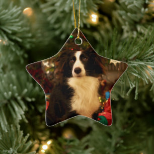 Cute Collie and Christmas Tree Ceramic Tree Decoration