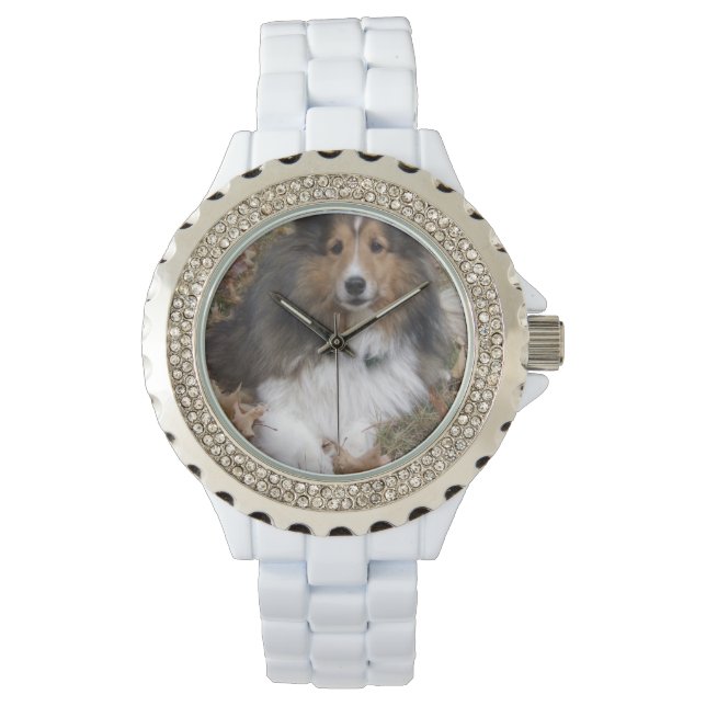 Cute Collie Watch (Front)