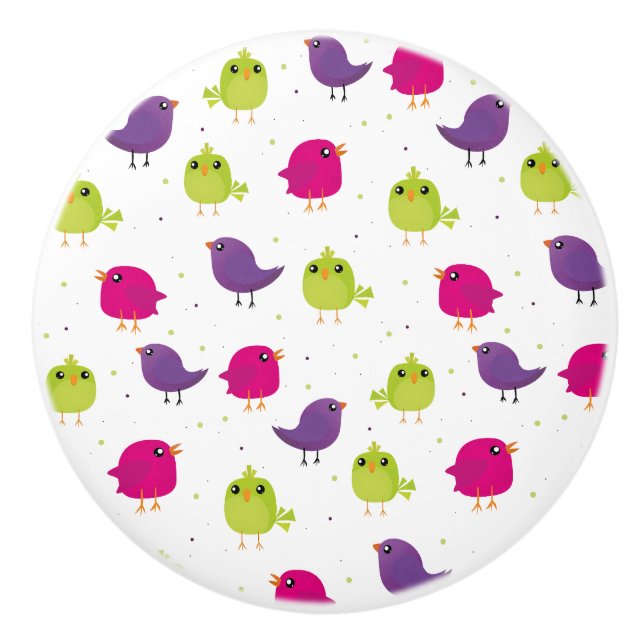 Cute colourful birds   ceramic knob (Front)