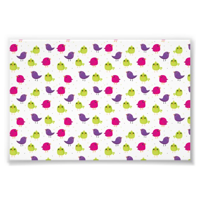 Cute colourful birds photo print (Front)