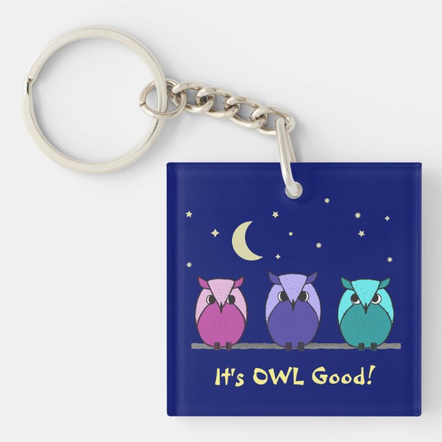 Cute Colourful Cartoon Owls Night Sky Key Ring (Front)