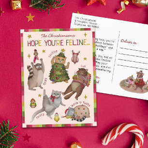 Cute Colourful Cat Lover Feeling Chart Christmas Holiday Postcard