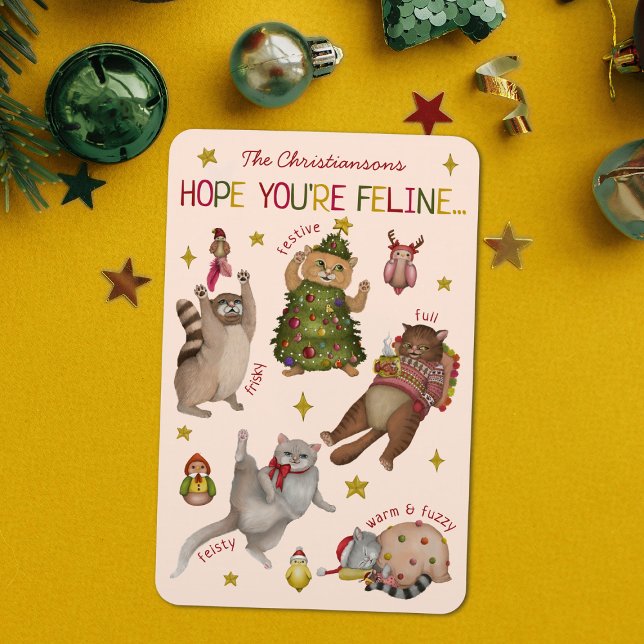 Cute Colourful Cat Lover Feeling Chart Christmas Magnet (Creator Uploaded)