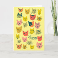 Cute colourful cat pattern HAPPY BIRTHDAY CUSTOM