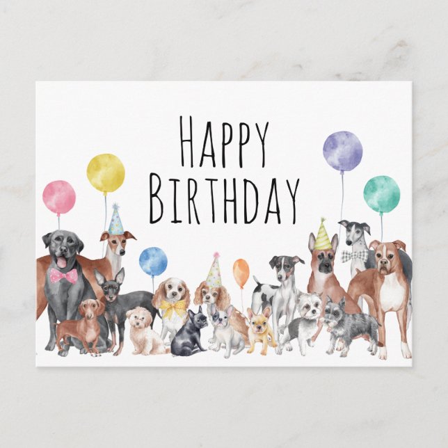 Cute Colourful Dog Happy Birthday  Postcard (Front)
