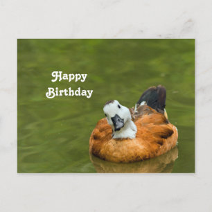 Cute Colourful Duck Photo Birthday Postcard