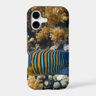 Cute Colourful Fish