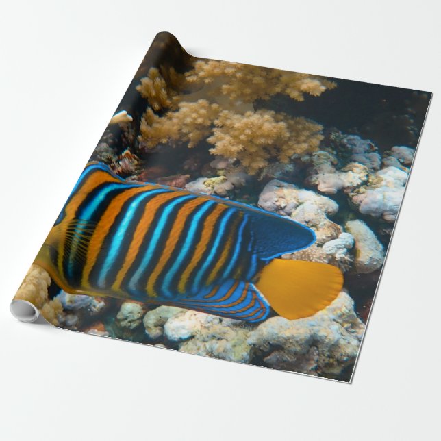 Cute Colourful Fish Wrapping Paper (Unrolled)