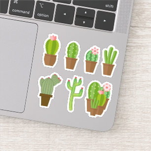 Cute Colourful Green Pink and Red Flowering Cactus