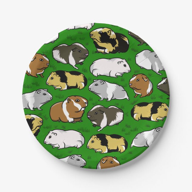 Cute colourful guinea pigs paper plate (Front)