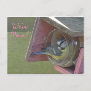 Cute Colourful Little Bird We've Moved Postcard