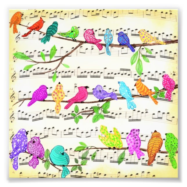 Cute Colourful Musical Birds Poster (Front)