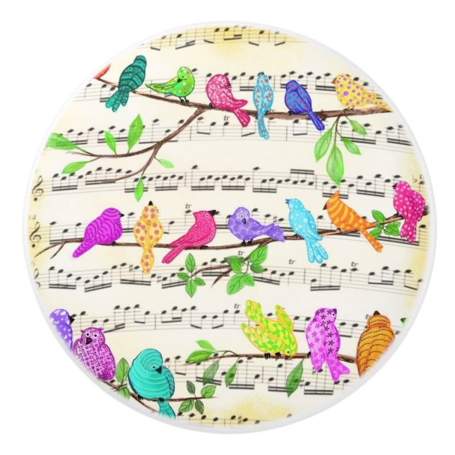 Cute Colourful Musical Birds Symphony - Happy Song Ceramic Knob (Front)