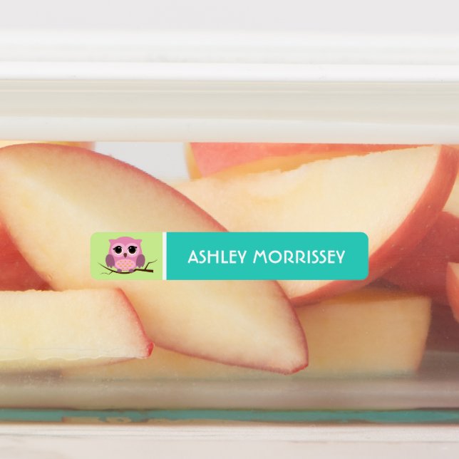 Cute Colourful Owl Kids Name Labels (Affixed)