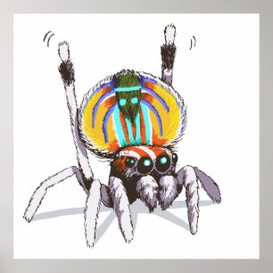 Cute Colourful Peacock Spider Drawing Art Poster