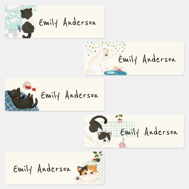 Cute Colourful Pet Cats School Daycare (Group)