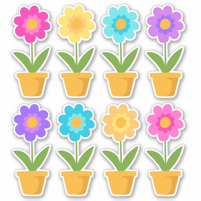 Cute Colourful Spring Flowers in Pots (Front)