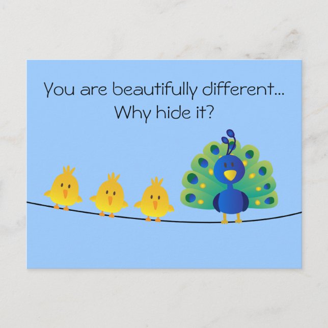 Cute & colourful toon of birds and a peacock postcard (Front)