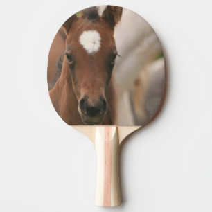 Cute Colt Ping Pong Paddle
