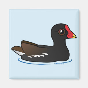 Cute Common Gallinule Magnet