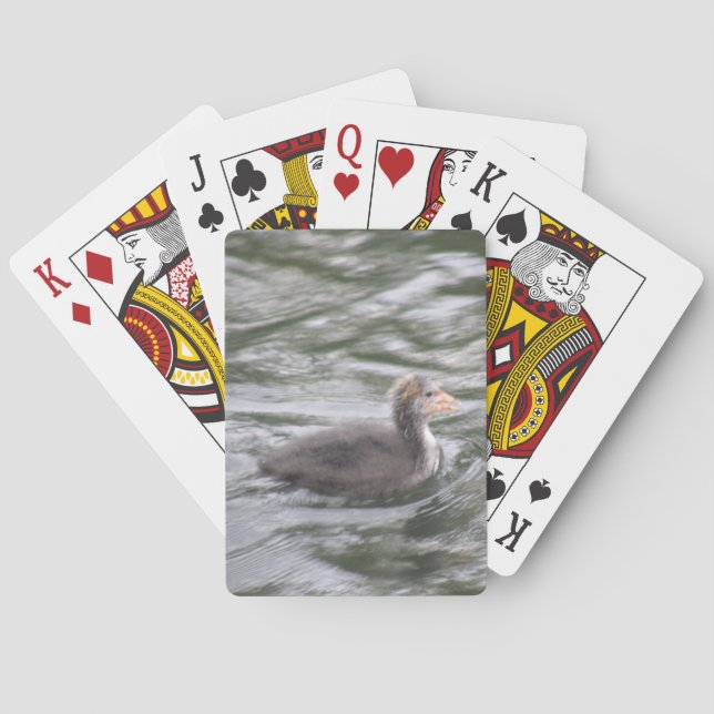 Cute Coot Chick on Choppy Waters Playing Cards (Back)