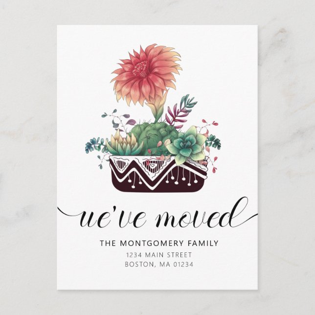 Cute Coral Pink Cacti Succulents Moving Announceme Announcement Postcard (Front)