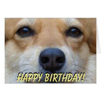 Corgi Birthday Cards & Invitations | Zazzle.co.uk