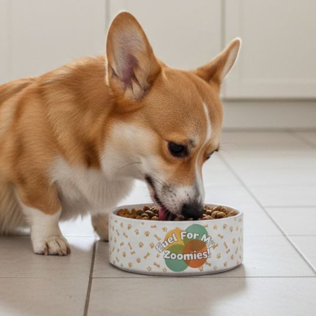 Cute Corgi Dog Bowls | Funny Pattern  (Creator Uploaded)