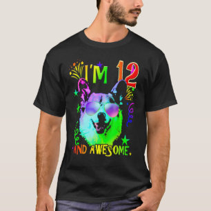 Cute Corgi Dog Im 12 And Awesome Birthday Design T-Shirt