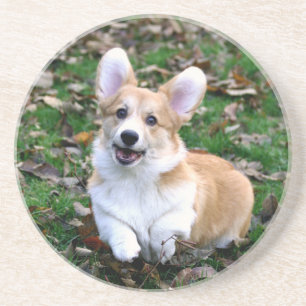 Cute Corgi Dog Leaping Coaster