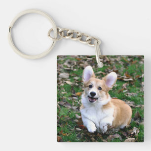 Cute Corgi Dog Leaping Key Ring