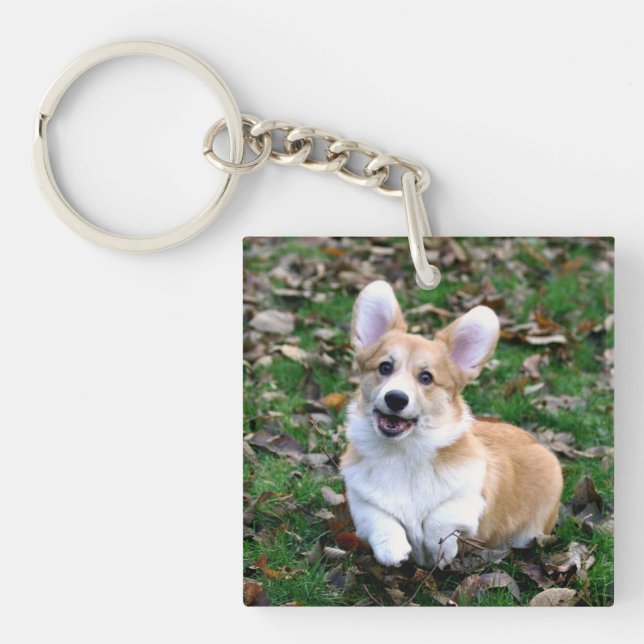 Cute Corgi Dog Leaping Key Ring (Front)