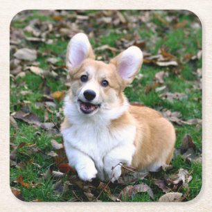 Cute Corgi Dog Leaping Square Paper Coaster
