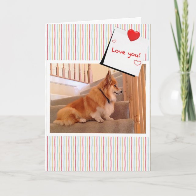 Cute Corgi Fluffy on the Stairs Valentine Holiday Card (Front)