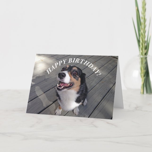Cute Corgi Happy Birthday Card (Front)