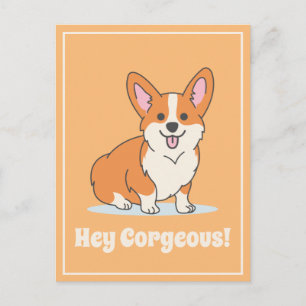 Cute Corgi "Hey Corgeous" Illustration Funny Postcard