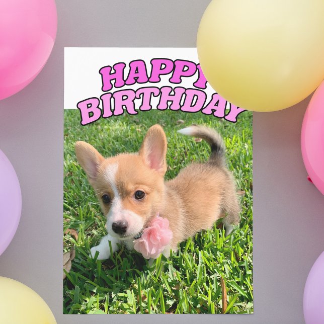 Cute Corgi Puppy Dog Photo Pink Happy Birthday Card (Creator Uploaded)