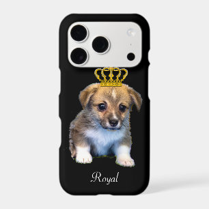 Cute Corgi Puppy Dog & Royal Crown on Black