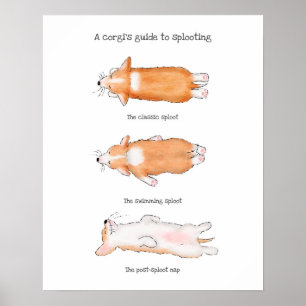 Cute corgi puppy guide to splooting poster