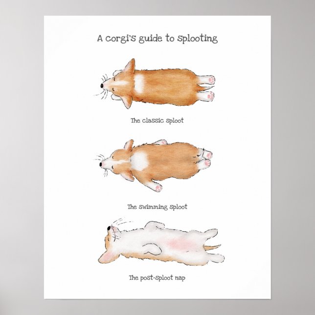 Cute corgi puppy guide to splooting poster (Front)