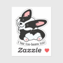 Cute Corgi with toe-beans