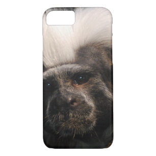 Cute Cotton Topped Tamarin iPhone 8/7 Case