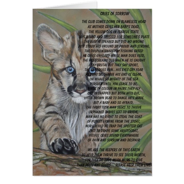 cute cougar kitten big cat wildlife painting art (Front)