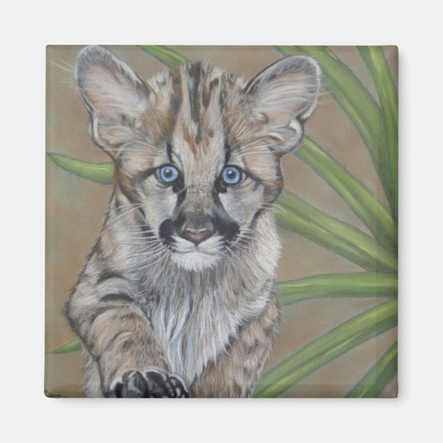 cute cougar kitten big cat wildlife painting art magnet (Front)