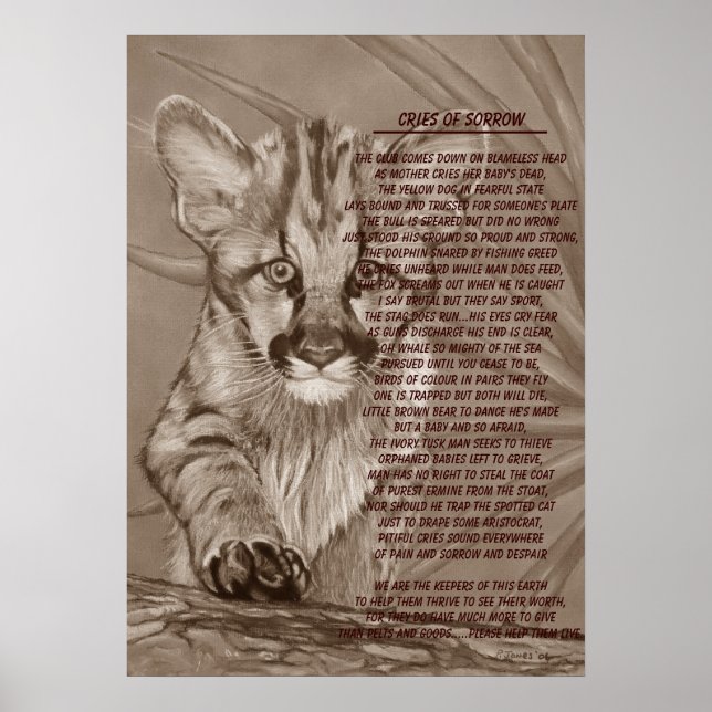 cute cougar kitten big cat wildlife painting art poster (Front)