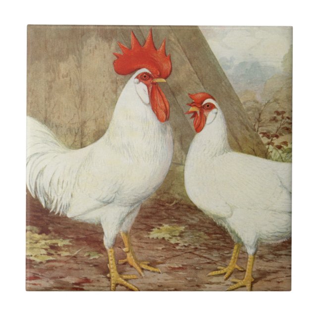 Cute Country farmhouse rooster hen vintage Tile (Front)