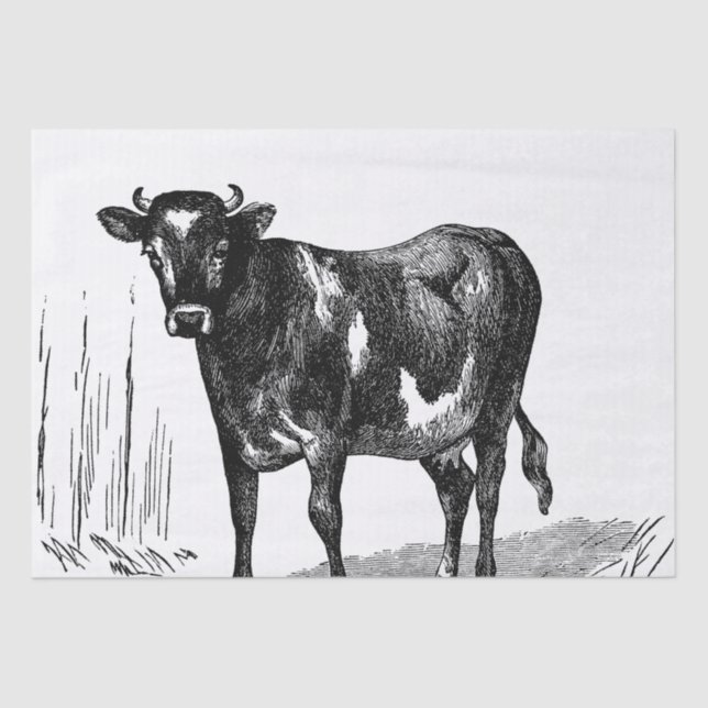 Cute Country vintage cow Farm party Tissue Paper (Front)