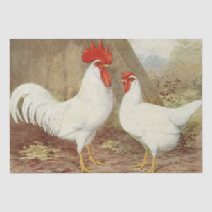 Cute Country vintage rooster hen party Tissue Paper