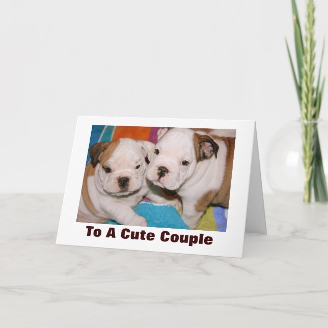 Cute Couple English Bulldog Puppies Anniversary Card (Front)
