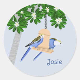 Cute Couple Playful Parrots Rosellas Add Name Classic Round Sticker